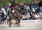 Pferd International 108